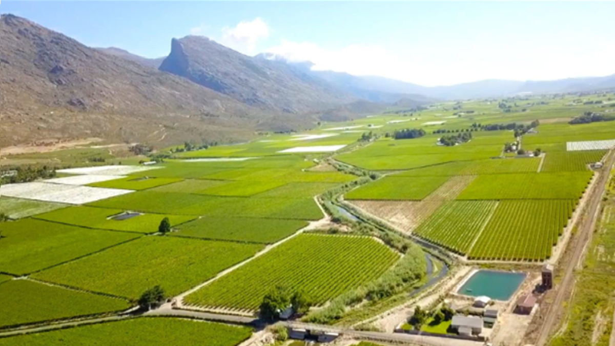 Los retos del cambio climático y la exportación en un mundo globalizado.png